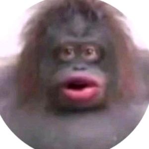 Meet your Posher, Derek